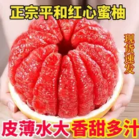 正宗福建平和红心蜜柚新鲜当季水果皮薄肉厚香甜多汁【多仓发货】