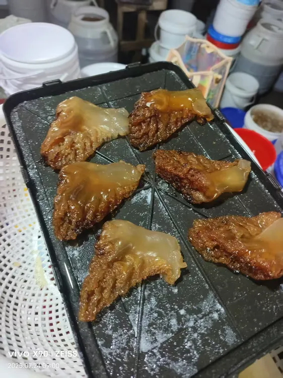正宗特产硬脆爽口野生海蜇头可用于凉拌菜4-5个头