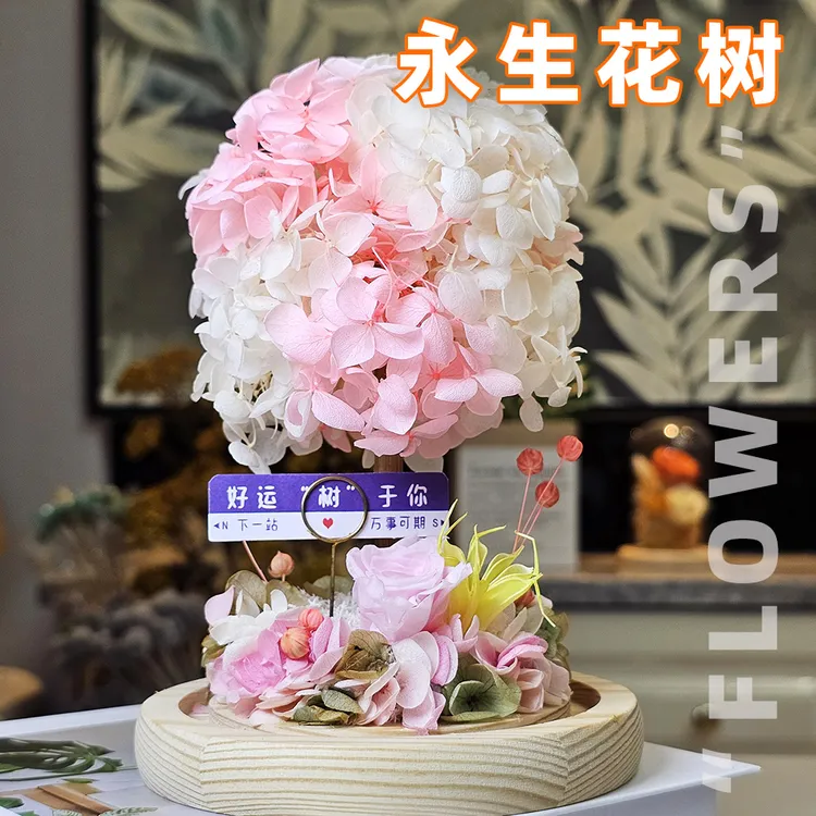 永生花玻璃罩礼盒送女友老婆礼物同学闺蜜老师妈妈礼物生日情人节