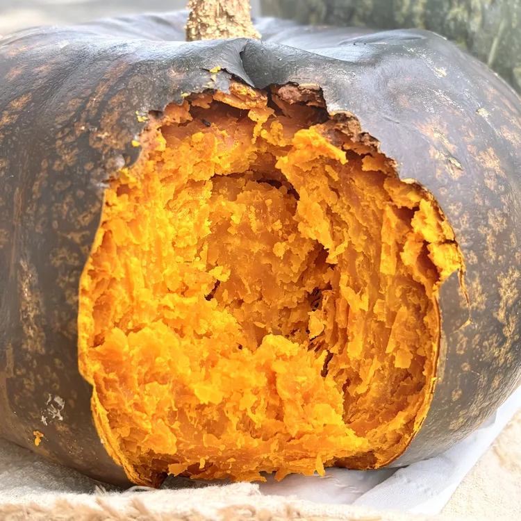 南瓜一款为烤而生的南瓜 芝士蛋糕口感好吃绝了顺丰发货