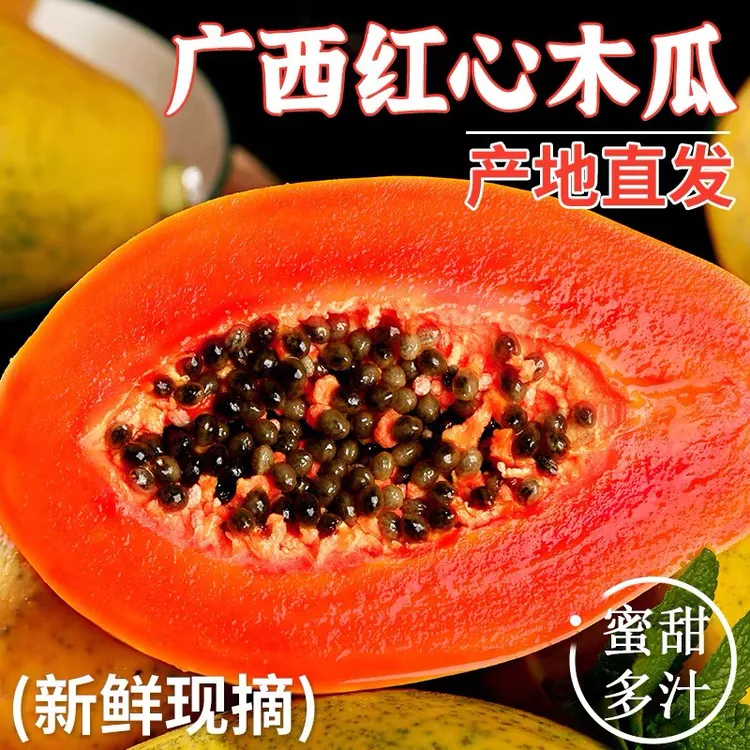 【需要催熟全黄食用食用】5斤广西牛奶冰糖红心木瓜新鲜雷州水果