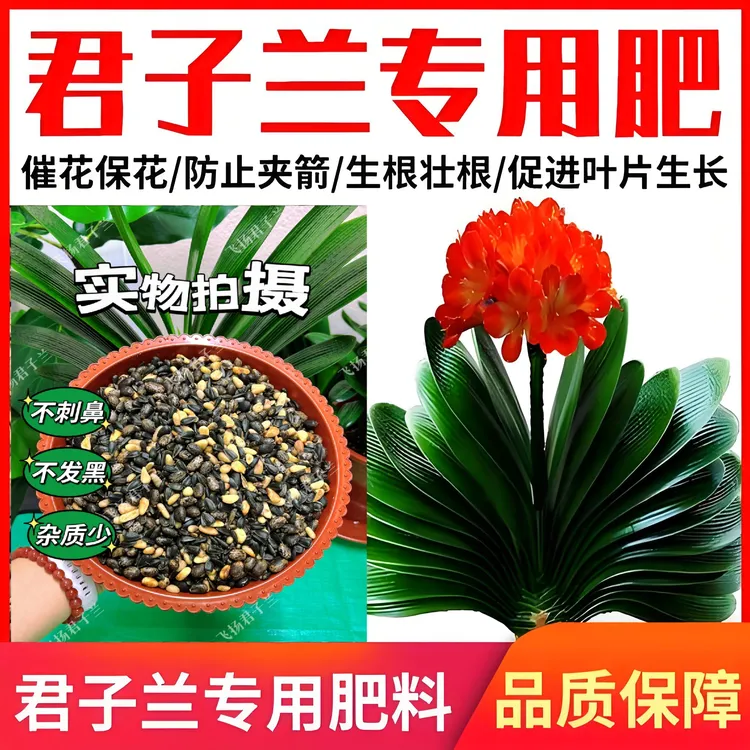 君子兰专用营养颗粒基质促开花油料作物松仁蓖麻子油葵小麻子