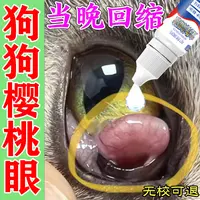 狗狗樱桃眼专用滴眼液眼部息肉眼睛发红发炎眼睑腺体凸出长肉疙瘩