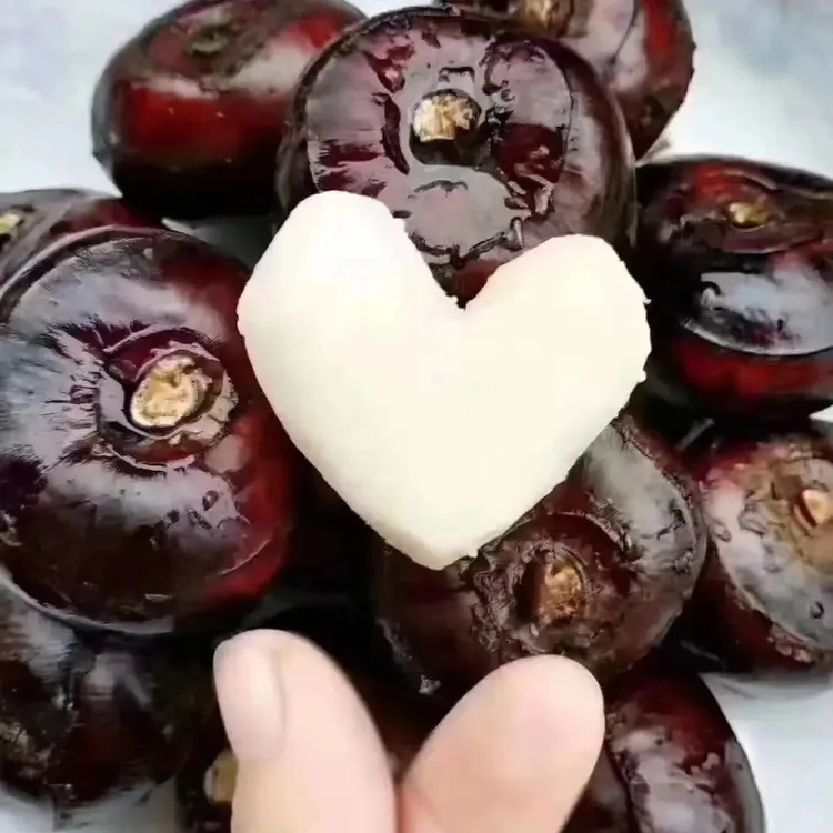 广西贺州马蹄荸荠清甜多汁应季水果地栗