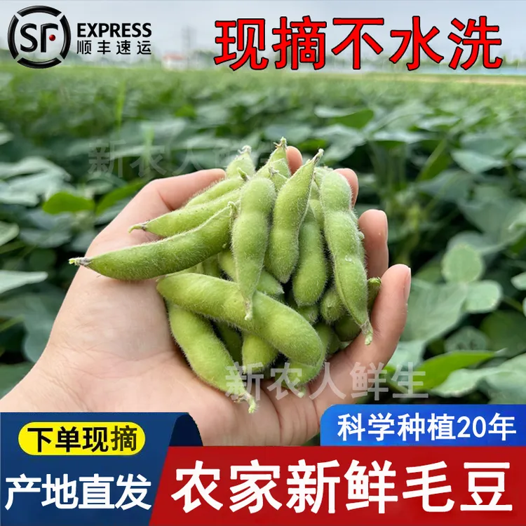 【顺丰】新鲜带壳毛豆产地直采农家自种不泡水毛豆现摘现发鲜毛豆荚