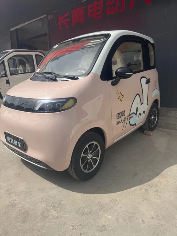 盛昊墩墩 四轮电轿（不含电池，河南省内包邮）