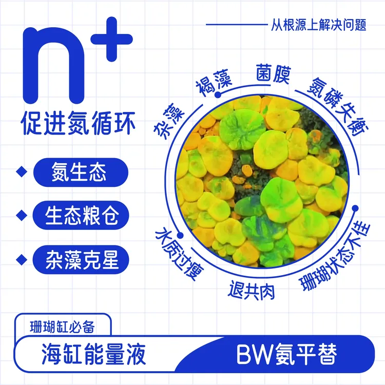 n+海缸珊瑚缸能量液 杂藻克星 氮生态 甲藻毛藻菌膜去除bw氨平替