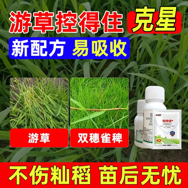 闪克游组合水稻游草专用升级方案糯稻粳稻勿用有机质水溶肥