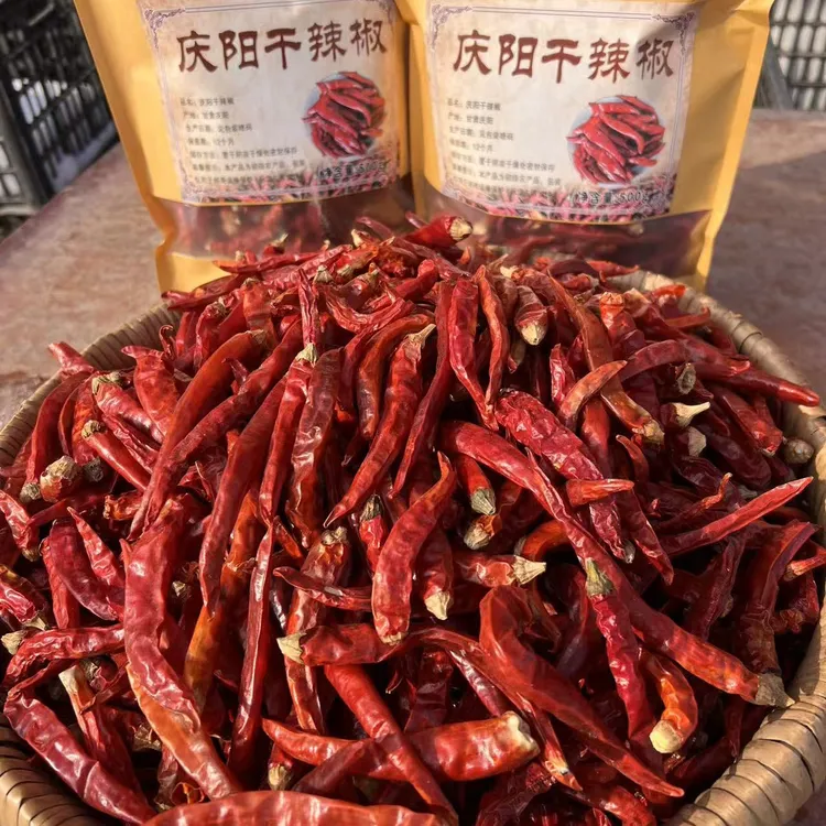 甘肃庆阳农家干辣椒500g包邮
