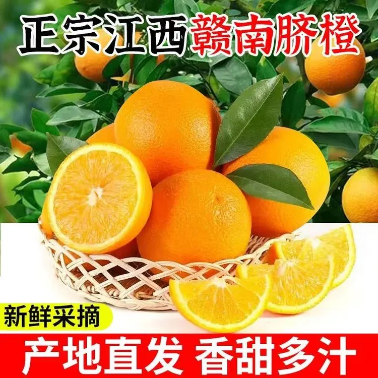 【蔬菜姐精选】江西正宗赣南脐橙产地直发新鲜水果皮薄肉厚孕妇老人