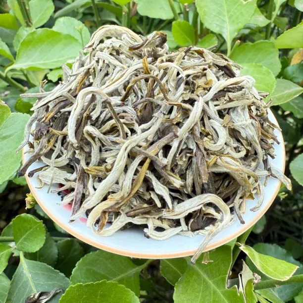 茉莉银钩 金丝银钩 老味茉莉花茶 新茶浓香沙口耐泡 口粮茶