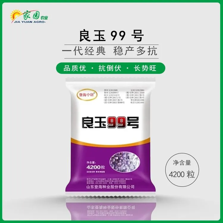 登海良玉99正品厂家直营玉米种子夏播抗寒抗高产玉米种子倒伏