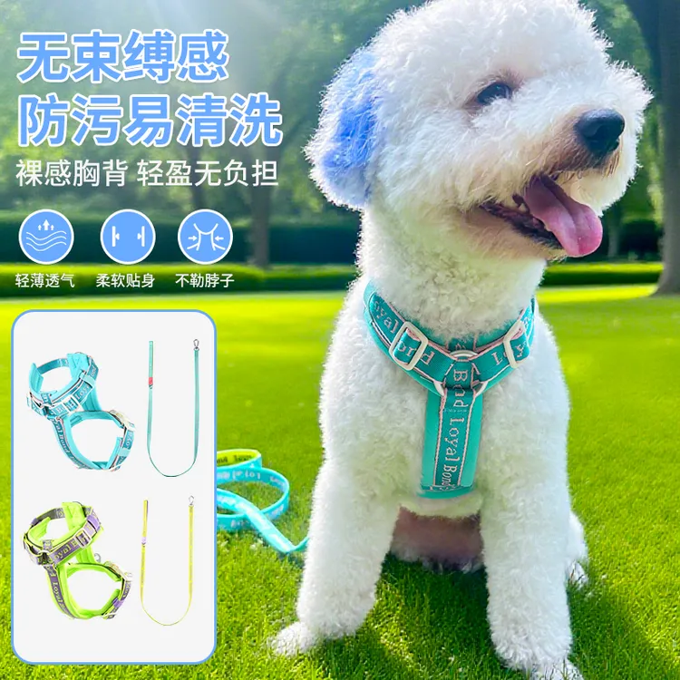 Y字型狗狗胸背带适合中大型犬安全舒适遛狗使用牵引绳狗绳牵引绳