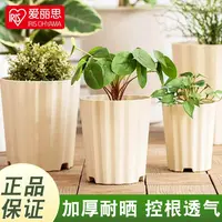 【9月爱丽思波线盆7号】两套（盆+托）