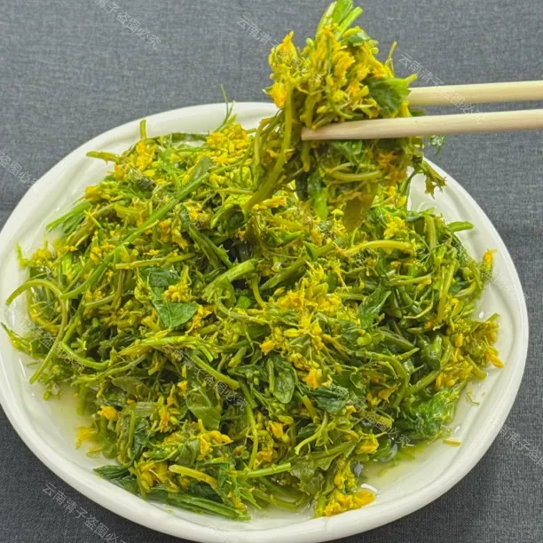 云南风味菜花腌菜滇南特色农家手工菜花腌菜开胃下饭传统工艺发酵