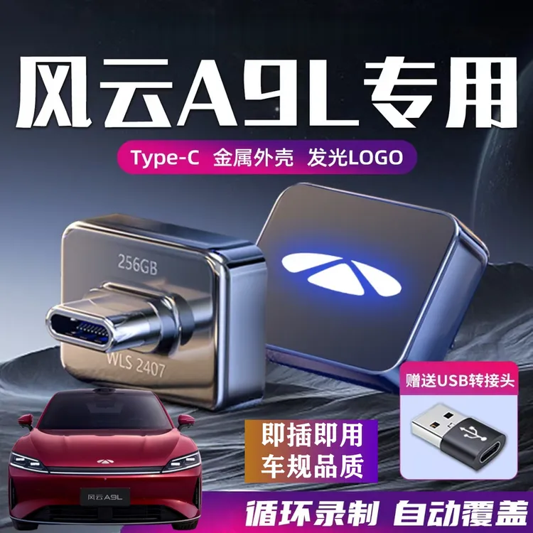 适用于奇瑞风云A9L行车记录仪专用U盘汽车车载哨兵模式优盘车用品