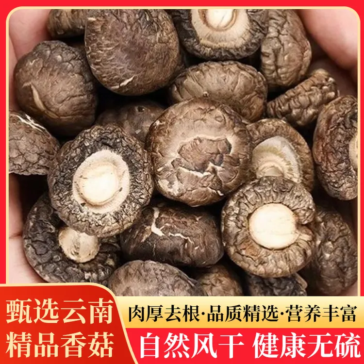 香菇蘑菇干货云南野生油面小香菇珍珠菇肉厚香味浓郁炖汤煲汤