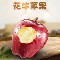 花牛苹果脆粉甜甘肃天水苹果红蛇果苹果新鲜水果当季果园采摘苹果
