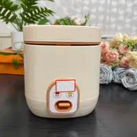 小电饭锅 小型迷你电饭煲 