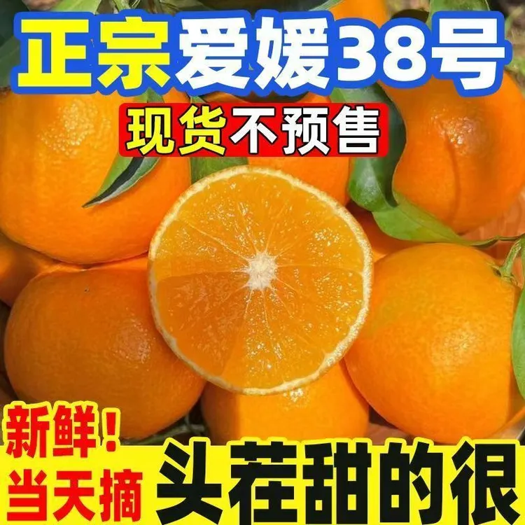 四川正宗爱媛38号果冻橙新鲜当季水果手剥橙子爆甜多汁