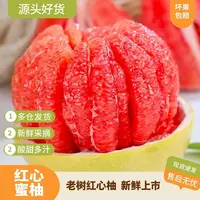福建琯溪红心蜜柚 新鲜当季水果产地直发柚子  坏果包赔
