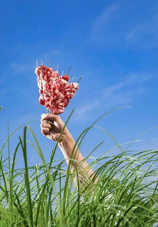 疆外草膘小山羊链接