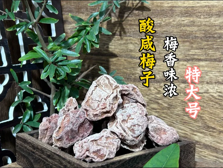 二年老梅子潮州特产酸咸话梅干孕妇办公室泡水解馋小零食