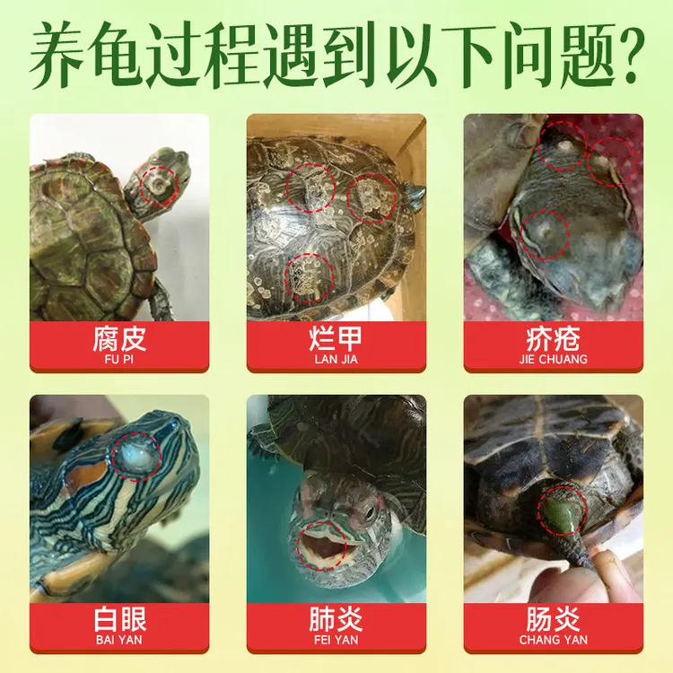 疯狂水草乌龟补钙高钙浓缩粉巴西龟草龟鳄龟电解多维通用