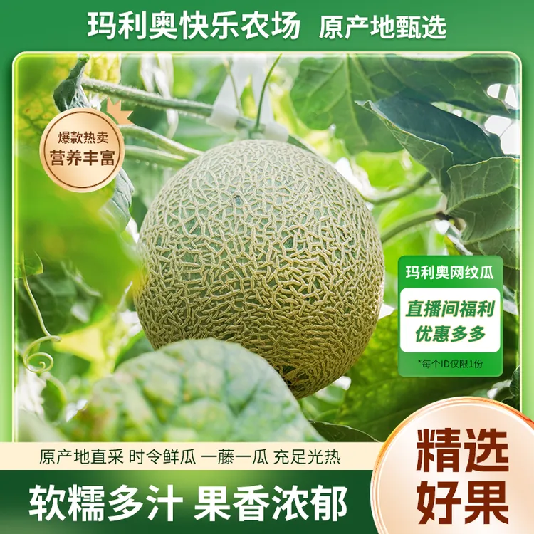 莎妃蜜瓜 爆品来袭 香甜软糯汁水充足