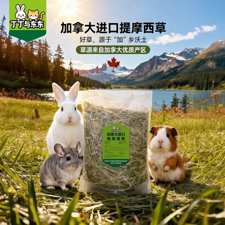 丁丁与东东晒干加拿大进口提摩西草兔子龙猫荷兰猪兔草磨牙草牧草