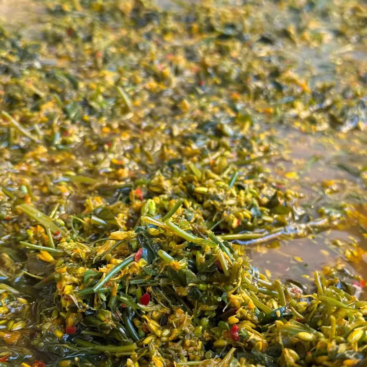 云南保山施甸油菜花特色水腌菜 酸不带甜 散装售卖500克每罐