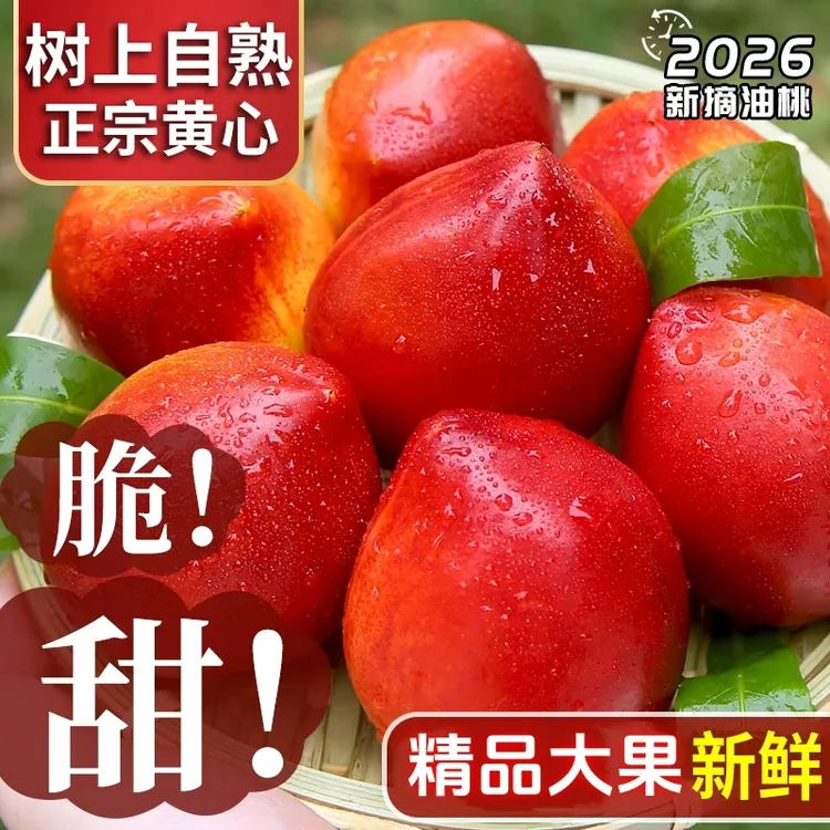 【头茬】黄心油桃新鲜应季水果黄肉脆桃子整箱包邮坏果包赔商品图