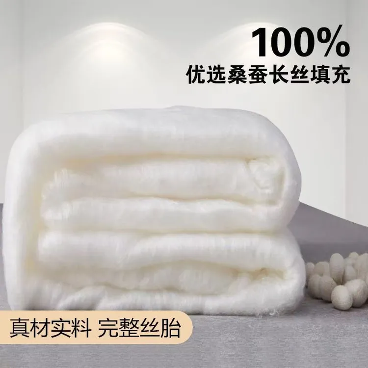 高档正宗桑蚕丝加厚保暖空调被春秋冬季被芯