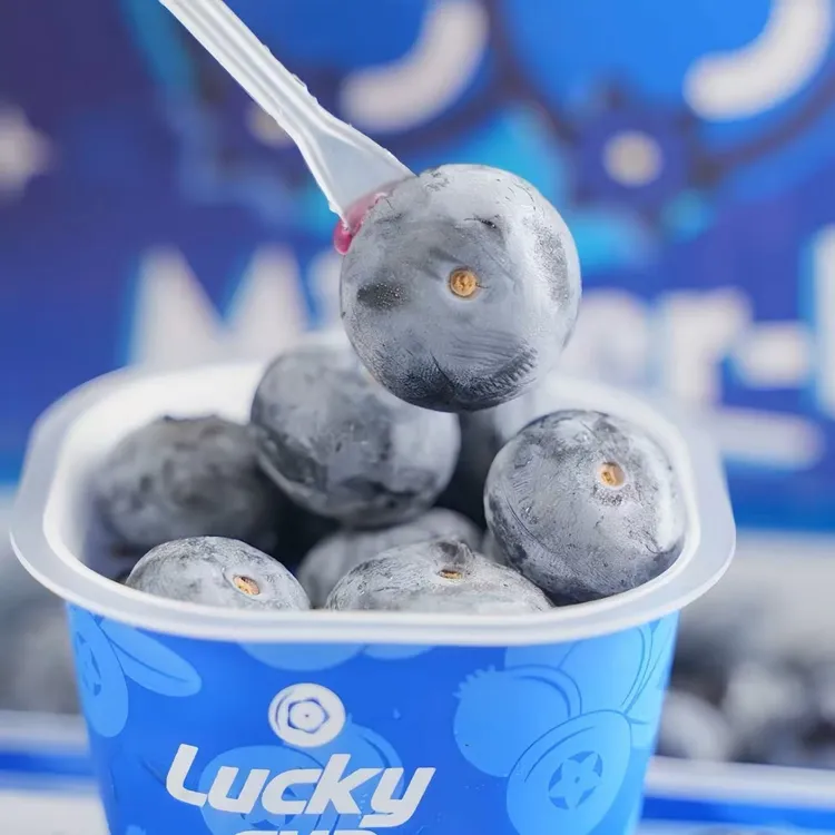 当季限定 秘鲁脆甜宝宝杯蓝莓18mm+ 花香浓郁<顺丰包邮