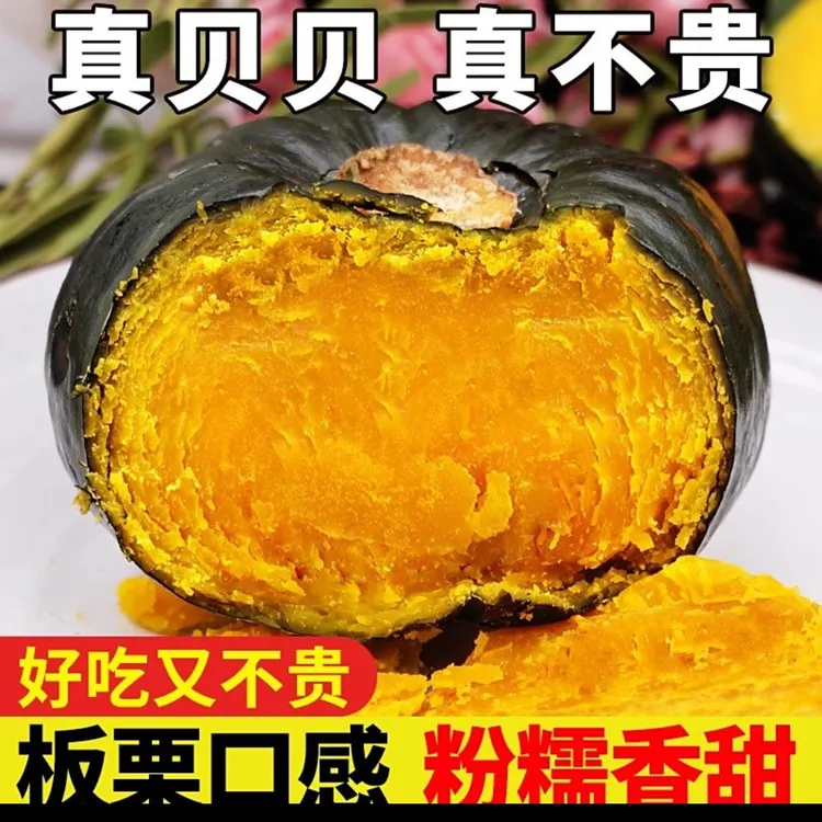 内蒙古沙地板栗味贝贝南瓜新鲜采摘粉糯香甜可作宝宝辅食