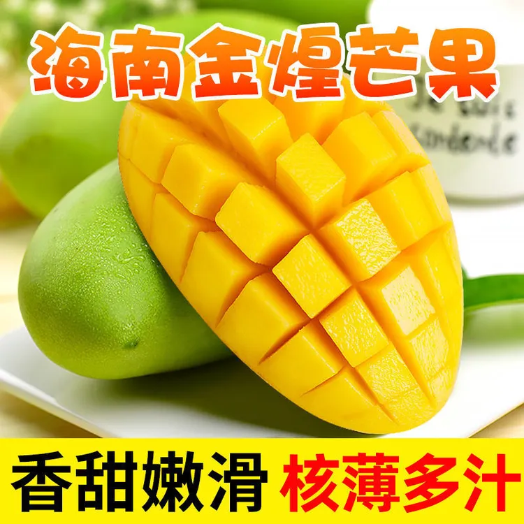 海南金煌芒大果5斤装 树上熟 香甜核薄肉厚 当季新鲜芒果