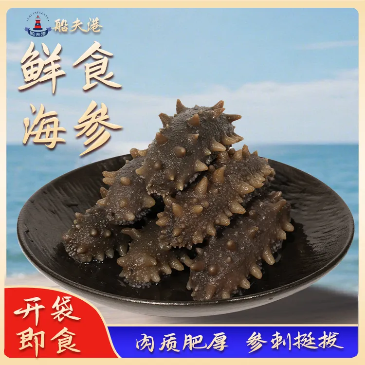 【国标】8-12船夫港鲜食海参大连辽参刺参海生鲜食海参即食