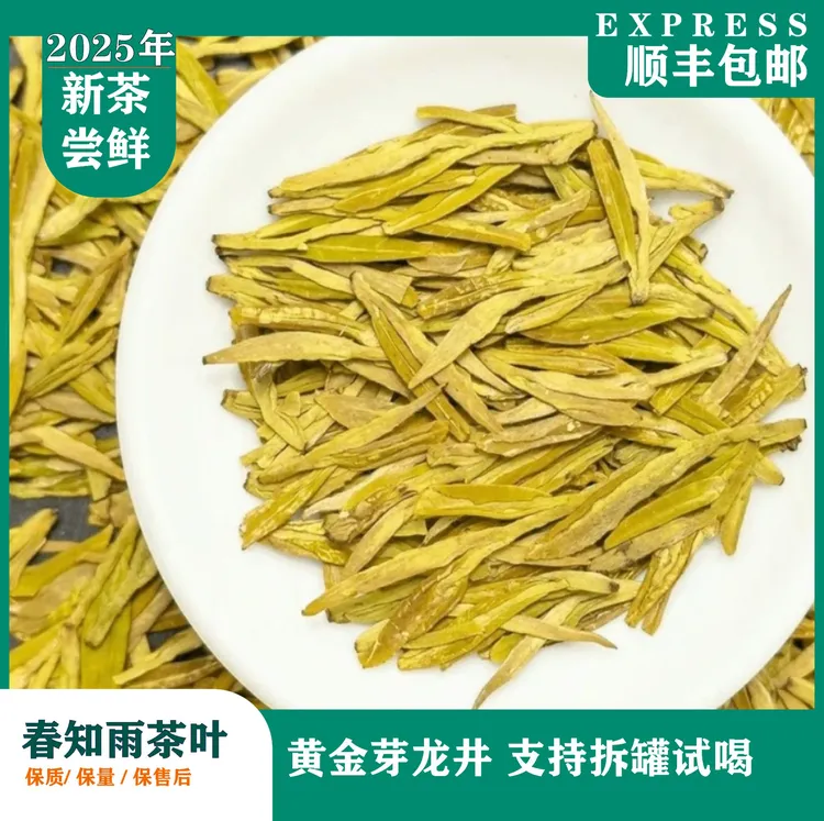 (视频）【春知雨】2025新茶高山黄金芽龙型扁茶500克/250克 a5