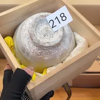 茶宠我的小可爱们都