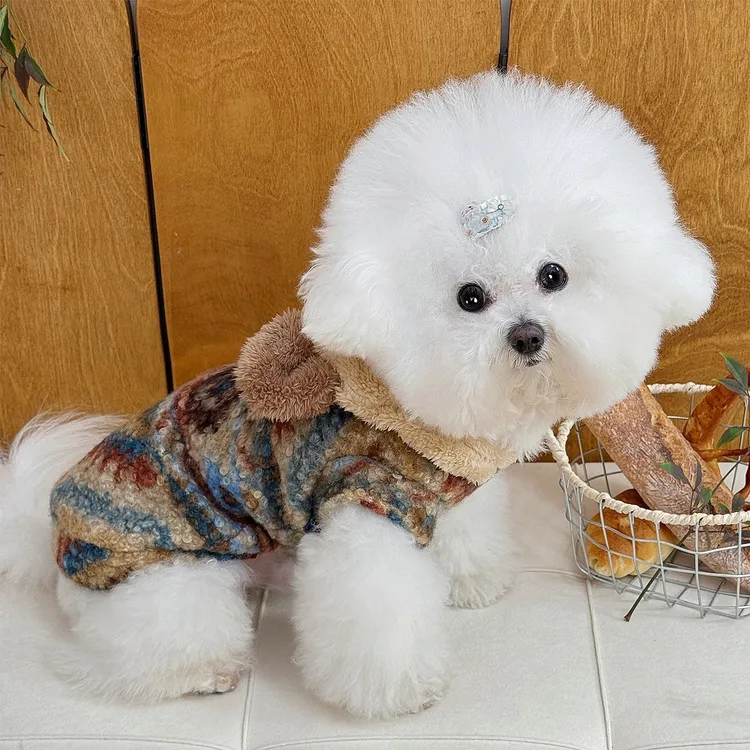 加厚防寒秋冬新款连帽熊头风宠物卫衣中小型幼犬猫咪保暖狗狗衣服