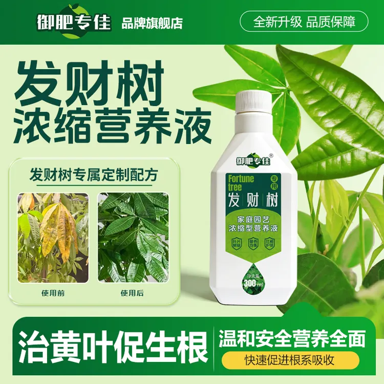 【发财树专用】家庭园艺营养液水培生长土壤烂根绿植养护园艺用品商品图