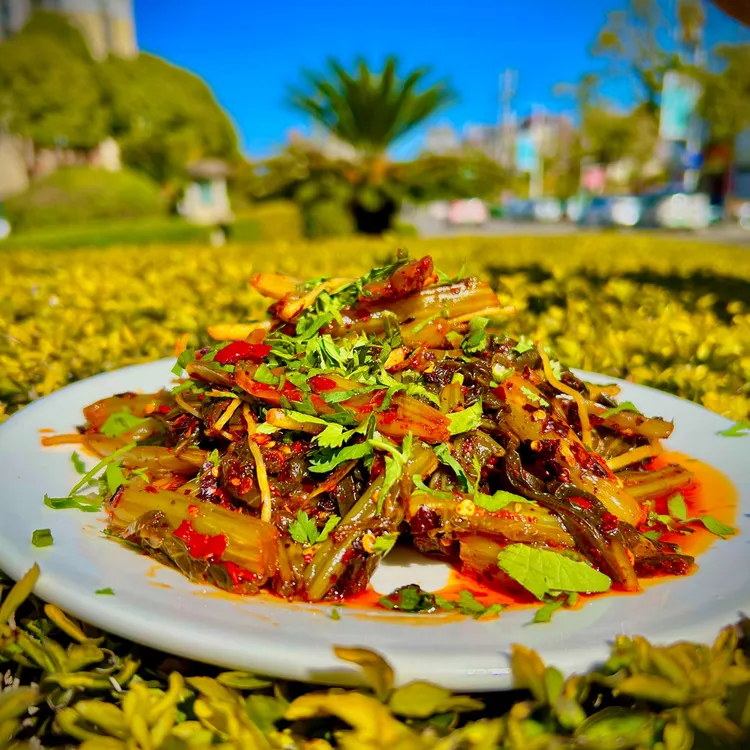 云南保山手工酸腌菜农家传统开胃下饭菜油辣子腌菜