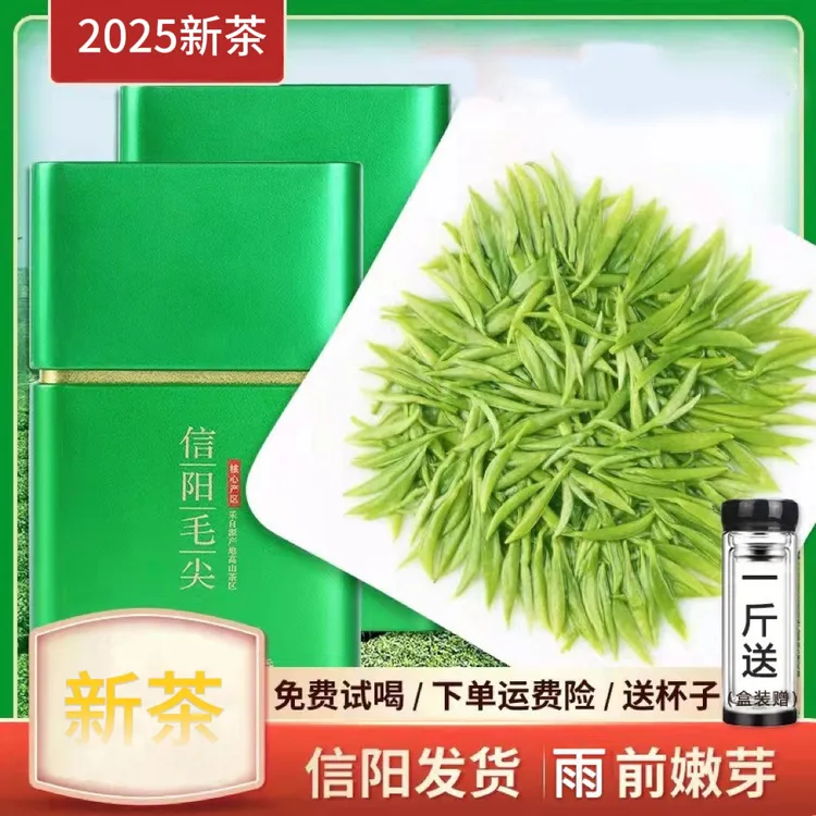2025年信阳毛尖新茶雨前精品中小芽绿茶嫩芽浓香栗香耐泡型