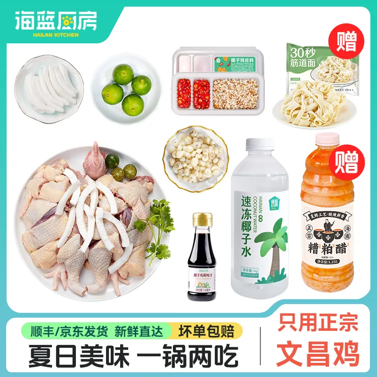 【燕姿专属】海蓝厨房海南椰子鸡糟粕醋鸳鸯锅夏日特色火锅方便菜