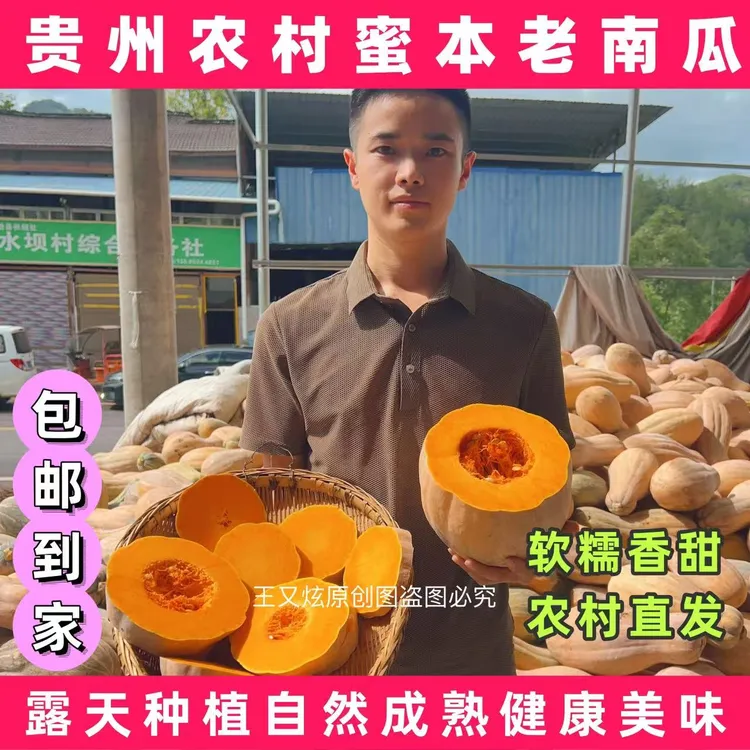 老南瓜正宗蜜本南瓜贵州农家南瓜新鲜南瓜宝宝辅食甜糯板栗味