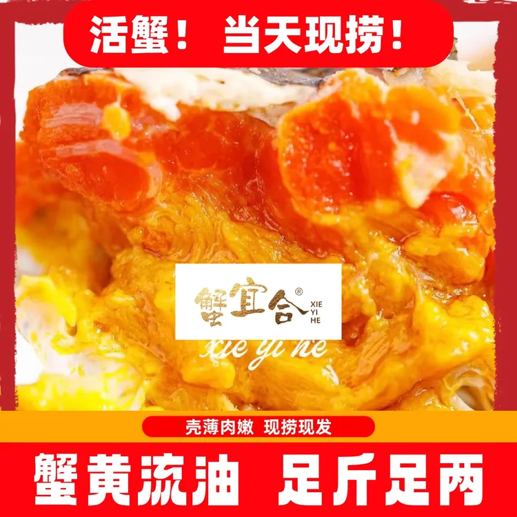 【江苏活蟹】大闸蟹 全母蟹3.1-2.9两   8/10只现货京东顺丰包邮