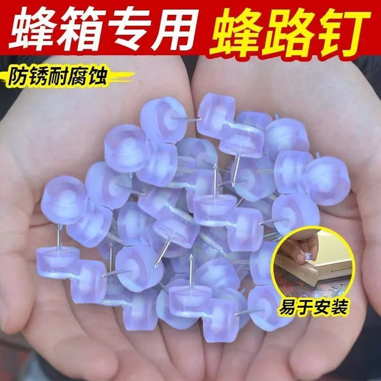 巢框隔板钉留蜂路专用畜牧养蜂工具中蜂意蜂通用