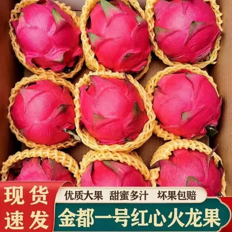 【产地直供】广西火龙果金都一号红心火龙果新鲜采摘鲜红果园直供