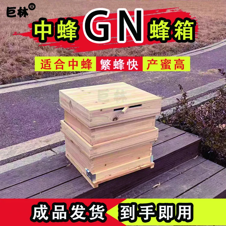 gn带柄全套带巢框隔王板双层全杉木养蜂箱中锋专用小型蜂箱土蜂