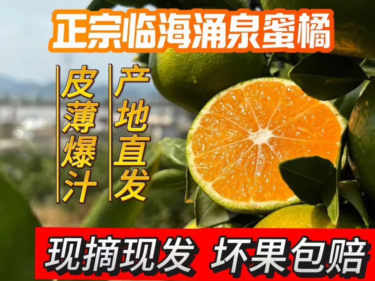 正宗临海涌泉蜜桔黄岩橘子产地直发皮薄肉嫩无籽汁水多孕妇顺丰
